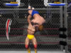 Legends of Wrestling II