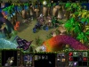 Warcraft 3 screen shot