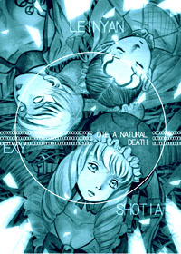 Do DonPachi Dai-oujou artwork