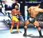 Wrestlemania XIX screen shot